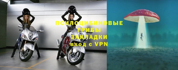 СК Алзамай