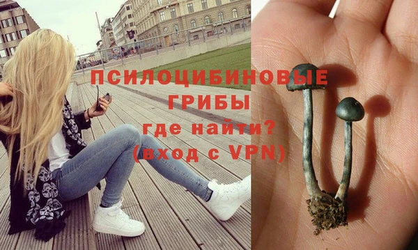 СК Алзамай