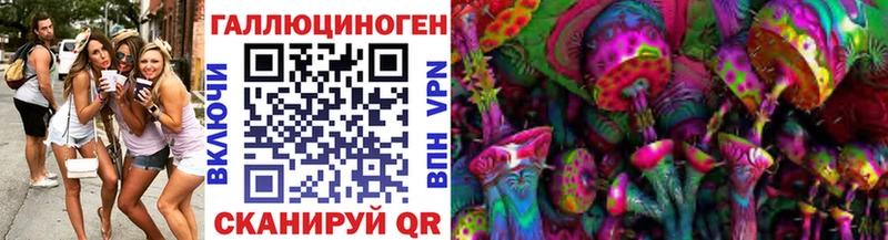 Галлюциногенные грибы Psilocybe  где купить наркотик  Артём 